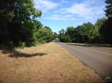 13015 County Road 285, Tyler, TX 75707 - photo 2