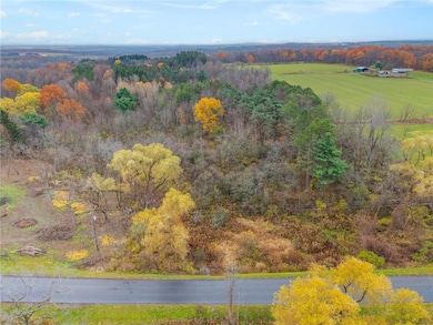 0 Seneca St, Trumansburg, NY 14886 - photo 6