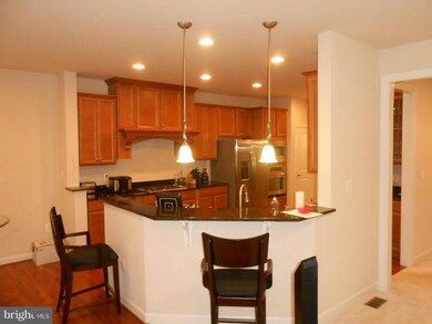 25078 Becerra Terrace, Chantilly, VA 20152 - photo 6