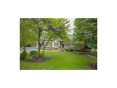 Lush landscaping and lots of trees!