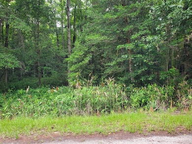 Stukes Rd Lot View 2
