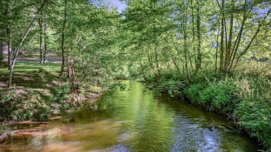 390 Sunny Brook Rd, Blue Ridge, GA 30513 - photo 5