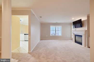 12021 Tralee Rd unit 504, Lutherville Timonium, MD 21093 - photo 2