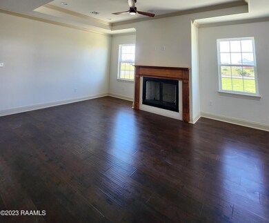 Living Room with Tray Ceiling