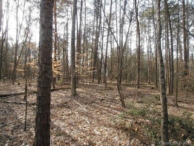 3770 Zion Church Rd, Concord, NC 28025 - photo 4