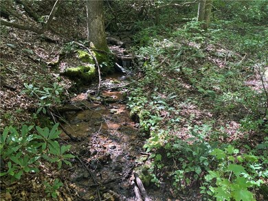 View of local wilderness