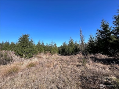 0 NKA Salmon Creek Rd, Toledo, WA 98591 - photo 4