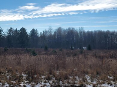 ON Cth C unit 7.87 Acres, Antigo, WI 54409 - photo 7