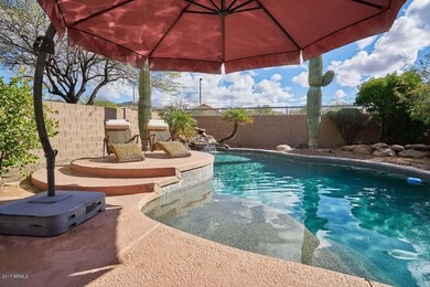Back yard resort
