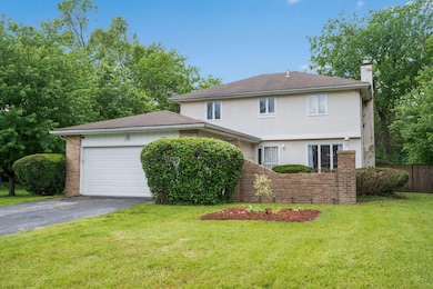 9-web-or-mls-DSC03118