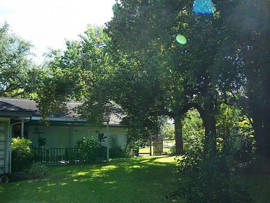View of the side gate and beautiful trees, shading the yard.