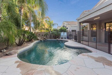 Backyard Pool