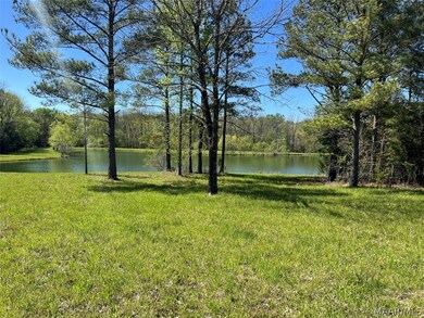 Lot 1 N Leahmon Ln, Mathews, AL 36052 - photo 5