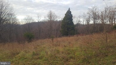 0 High View Rd unit WVHS114982, Purgitsville, WV 26852 - photo 3