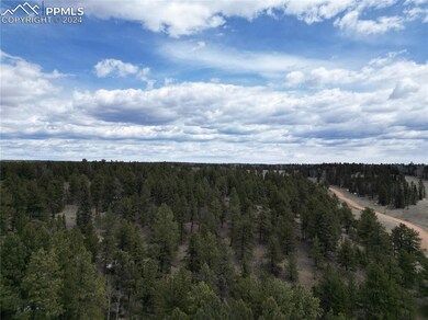 LOT 3 Highway 24, Divide, CO 80814 - photo 5