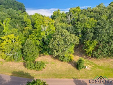 Lot 42 Katie Ln unit Katie Lane, Gilmer, TX 75644 - photo 7