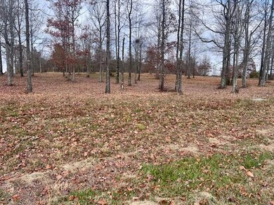 0 River Bluffs Dr unit 1524255, Jasper, TN 37347 - photo 6