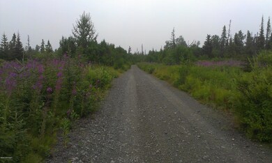 000 King Rd, Nikolaevsk, AK 99556 - photo 3
