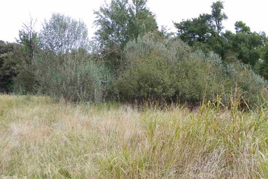 1799 Greene Road 624, Paragould, AR 72450 - photo 3