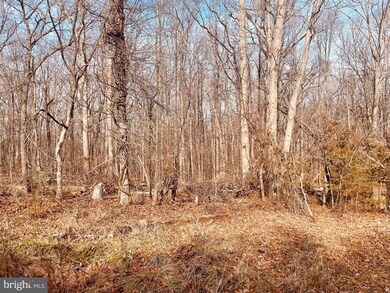 0 Kennon Rd unit VALA2004902, Mineral, VA 23117 - photo 4