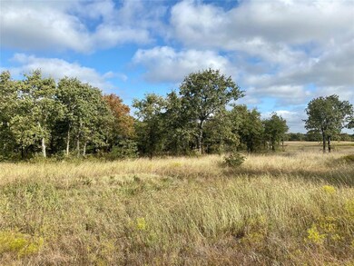 0 Cr 3451 unit 14457765, Paradise, TX 76073 - photo 7