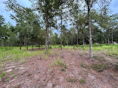 16051 SW 44 St, Ocala, FL 34481 - photo 3