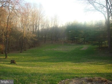 10225 Old Court Rd, Woodstock, MD 21163 - photo 6