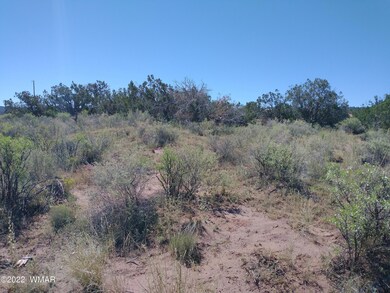 4056 Sorrel Rd, Snowflake, AZ 85937 - photo 2