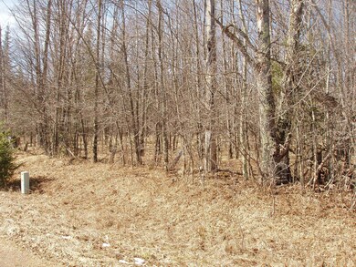 4th Add. Margaret Ln unit Lot 14, Park Falls, WI 54552 - photo 2