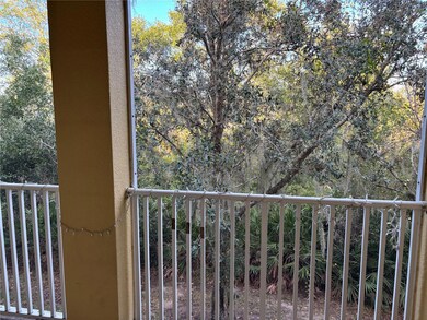 7325 Black Walnut Way, Lakewood Ranch, FL 34202 - photo 7