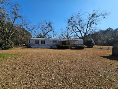 232 Old Bainbridge Rd, Baconton, GA 31716 - photo 4