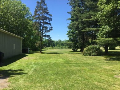 View from back porch.