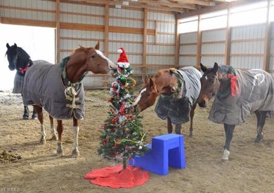 2796 Porter Rd, Atwater, OH 44201 - photo 3