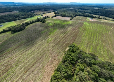 1 Clarence Finney Rd, Hillsboro, TN 37342 - photo 7