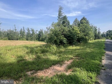 13 Joshuas Way, Unionville, VA 22567 - photo 6