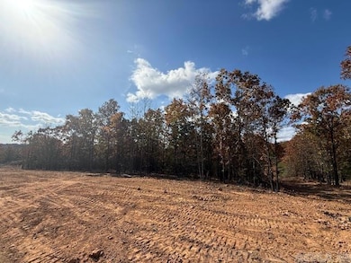 20 Summer Tyme Dr, Greenbrier, AR 72058 - photo 2