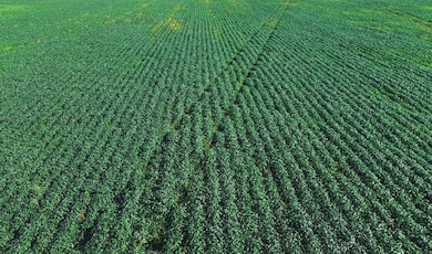 Tbd 428th Ave and 103rd St, Kidder, SD 57430 - photo 3