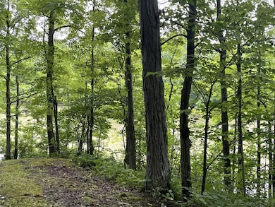 644 Panton Rd, Vergennes, VT 05491 - photo 5