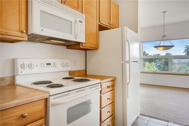 516 Darby Dr unit 315, Bellingham, WA 98226 - photo 6