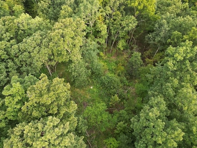 2750 Nortonville Rd, Franklin, IL 62638 - photo 3