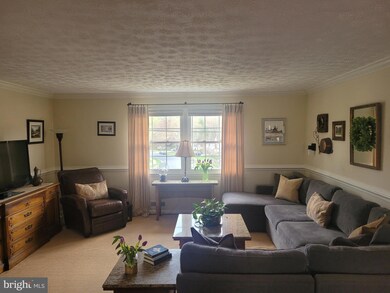 8510 Queen Elizabeth Blvd, Annandale, VA 22003 - photo 5