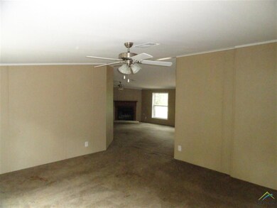 10892 County Road 210, Tyler, TX 75707 - photo 5