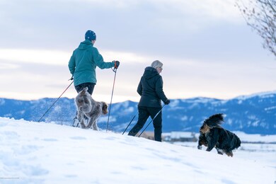 Cross Country Skiing