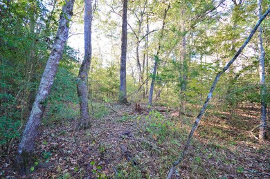 000 Deer Run Rd, Nacogdoches, TX 75964 - photo 5