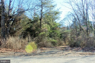 5721 Turner Rd, Broad Run, VA 20137 - photo 6