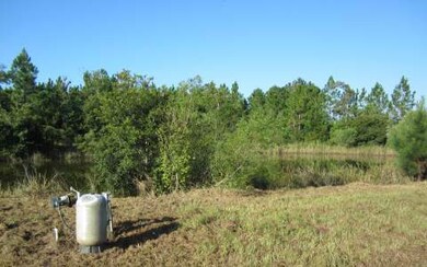 46624 Middle Rd, Callahan, FL 32011 - photo 4