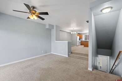 1140 Carbon Jct unit 10, Durango, CO 81301 - photo 6