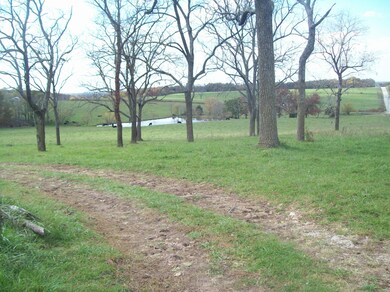 794 E 420th Rd, Bolivar, MO 65613 - photo 2