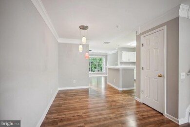 21825 Baldwin Square, Sterling, VA 20164 - photo 5