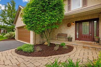 2428 Haider Ave unit 1, Naperville, IL 60564 - photo 5